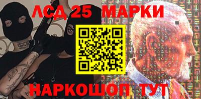 мдпв Новозыбков