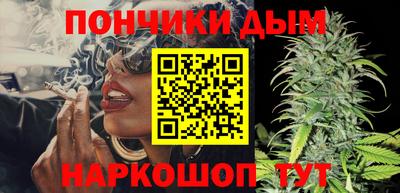 мдпв Новозыбков