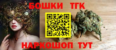 гидра Новодвинск